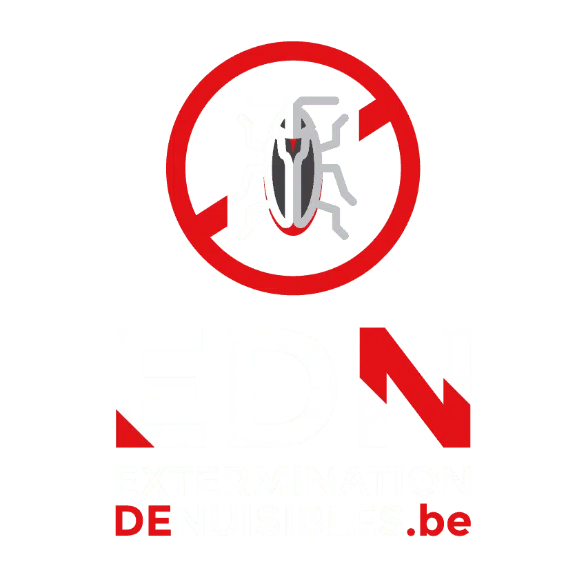 Logo EDN