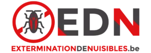 logo EDN taille réduite, mail