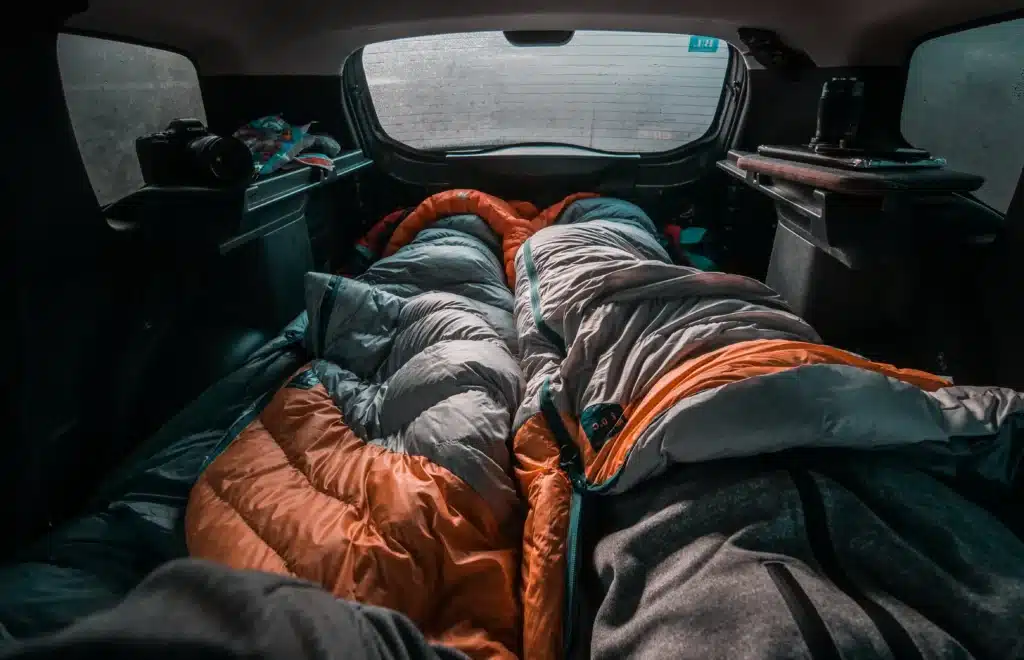 Éradiquer les punaises de lit présentes dans votre voiture – Safelit