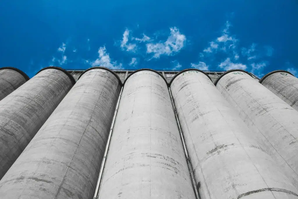 Stockage du grains et des céréales dans les silos : attention aux pyrales de la farine